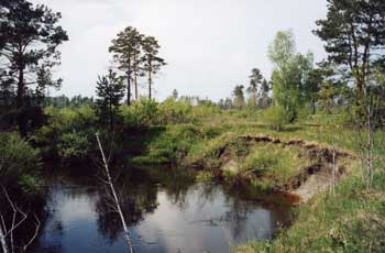 Фото: Алексей Антропов