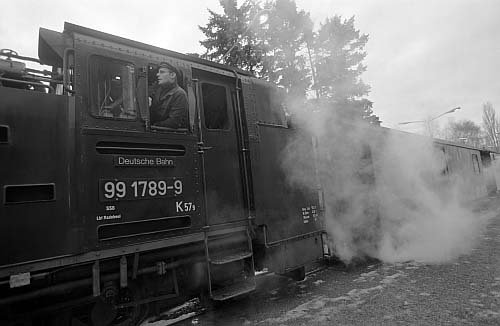 Фото Алексея Голубцова