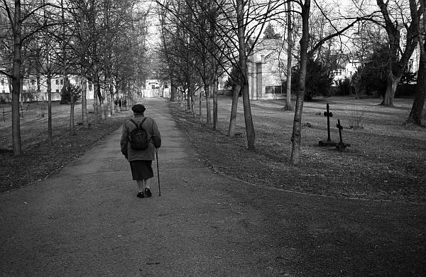 Фото Алексея Голубцова