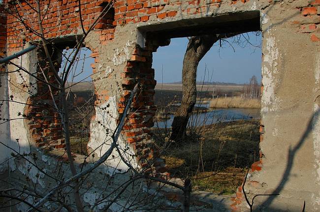 Фото Алексея Голубцова