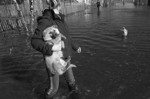 Фото Алексея Голубцова