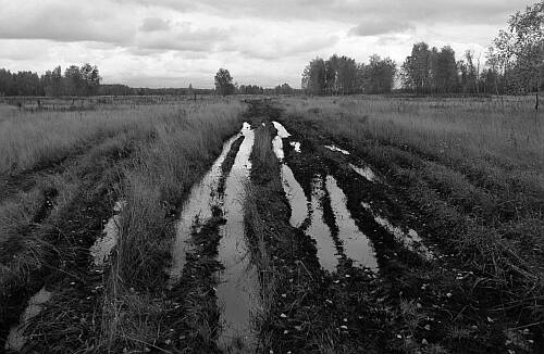 Фото Алексея Голубцова