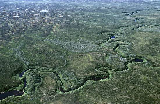 Фото Алексея Голубцова