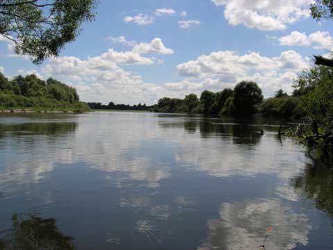 Фото Сергея Прожоги