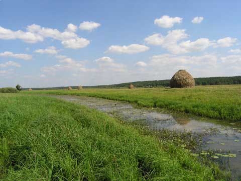 Фото Сергея Прожоги